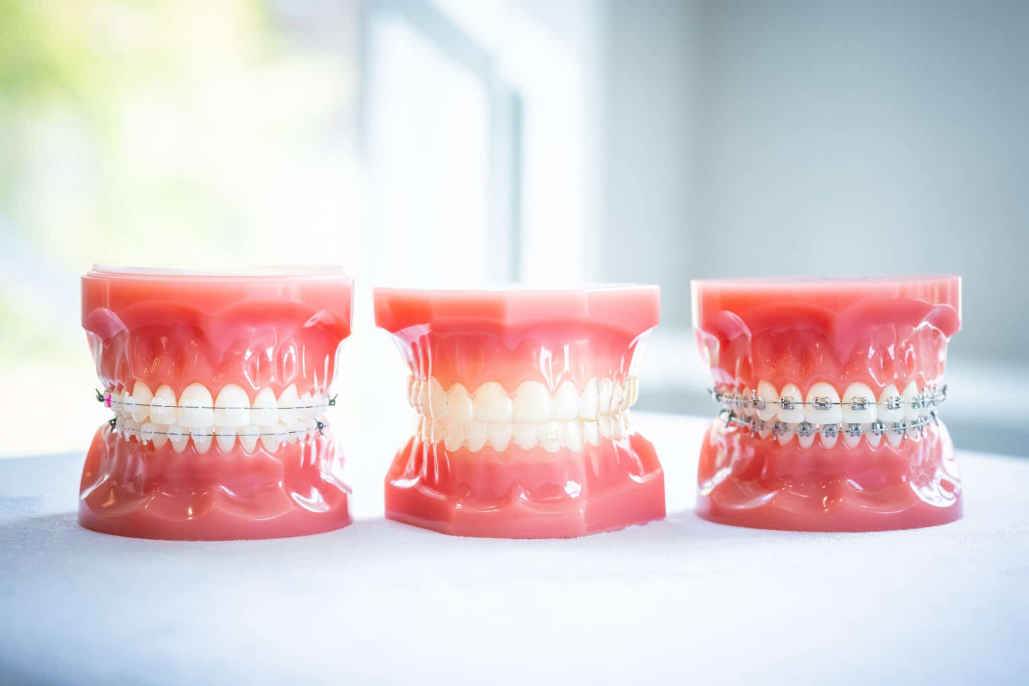 typodonts new jersey dentist 2021 22