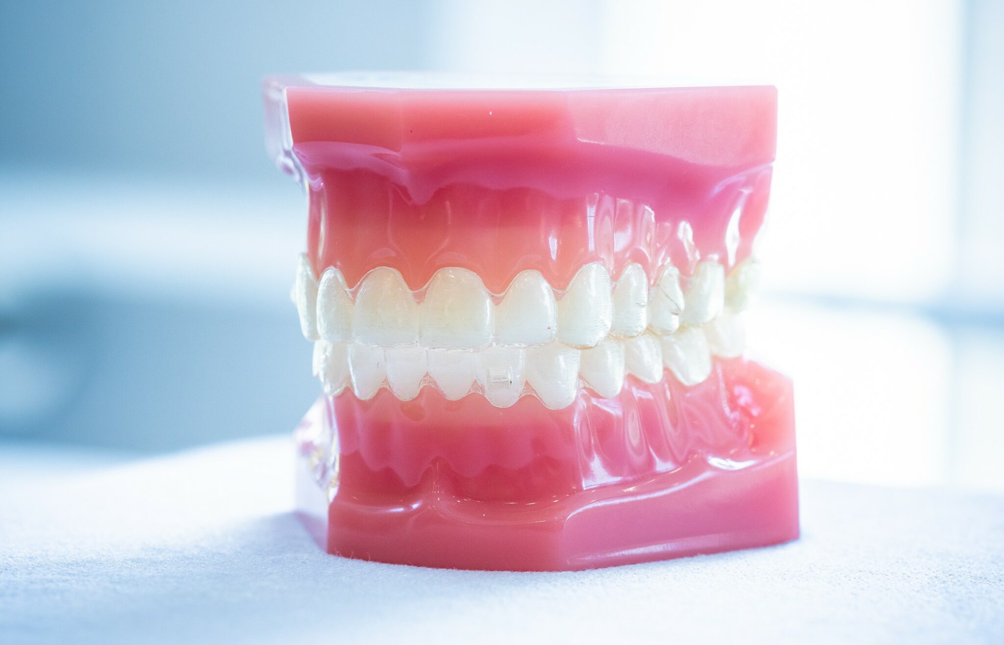 typodonts new jersey dentist 2021 3 cropped